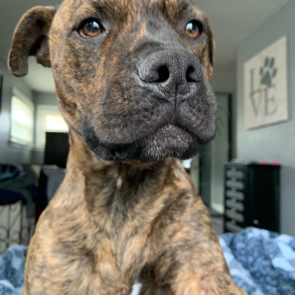 Meet your Posher, Terry - Picture 6 of 6